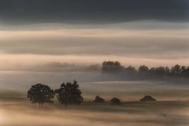 Nina Pauli - Dense Fog Over The Moos