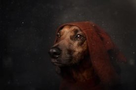 Heike Willers - The Night-Watchman