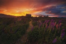 Yan Zhang - In The Wind