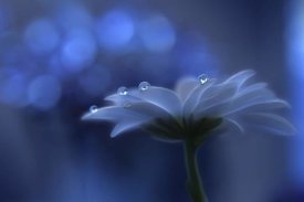 Juliana Nan - Space Dreams