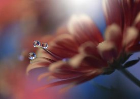 Juliana Nan - Inmost