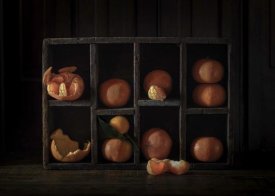 Heather Bonadio - Still Life With Oranges