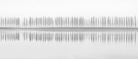 Fotoea - Misty Alley