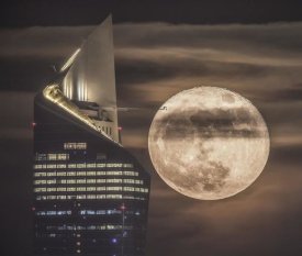 Faisal Alnomas - Handling The Supermoon
