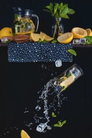 Dina Belenko - Lemonade From The Top Shelf