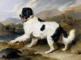 Sir Edwin Henry Landseer - A Newfoundland Dog