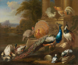Marmaduke Cradock - Peacocks, Doves, Turkeys, Chickens and Ducks by a Classical Ruin