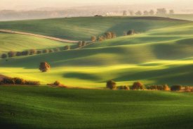 Piotr Krol (Bax) - Green fields