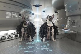 DDiArte - ET Dogs