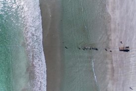 Haitham AL Farsi - Fisherman from the sky