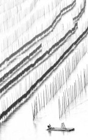 Handi Nugraha - Out of line