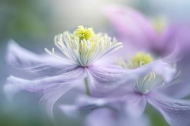 Jacky Parker - Sway