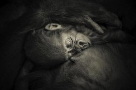 Antje Wenner-Braun - MOTHER'S HUG