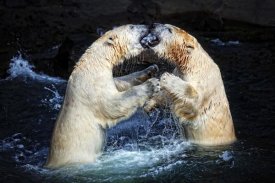 Antje Wenner-Braun - BATTLE AND KISSES