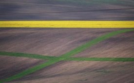 Ales Krivec - Painting the fields