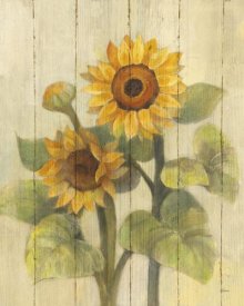 Albena Hristova - Summer Sunflowers II on Barn Board