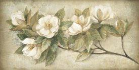 Albena Hristova - Sugar Magnolia Vintage