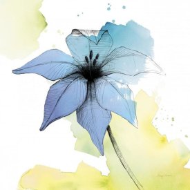 Avery Tillmon - Watercolor Graphite Flower V