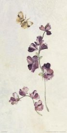 Cheri Blum - Wild Wallflowers I