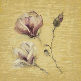 Cheri Blum - Magnolia Blossom on Gold