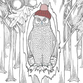Elyse DeNeige - Color the Forest Color V