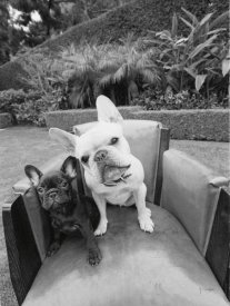Jim Dratfield - Always Friends