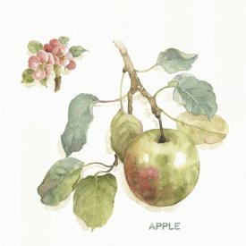 Lisa Audit - Orchard Bloom I