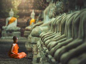 Pangea Images - Young Buddhist Monk praying, Thailand