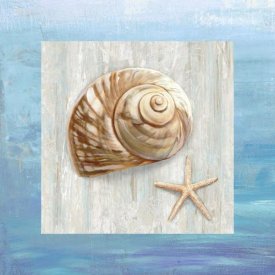Ted Broome - From the Sea IV