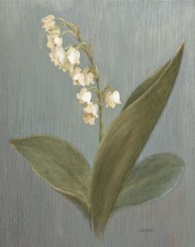 Danhui Nai - May Lily of the Valley Green