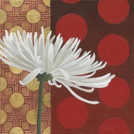 Kathrine Lovell - Morning Chrysanthemum I