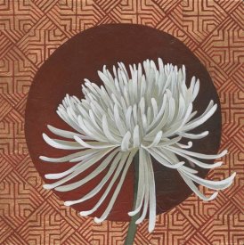 Kathrine Lovell - Morning Chrysanthemum III