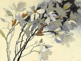 Shirley Novak - Magnolias