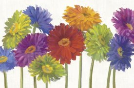Carol Rowen - Colorful Gerbera Daisies