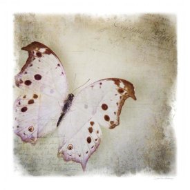 Debra Van Swearingen - Floating Butterfly II