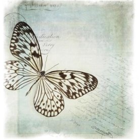 Debra Van Swearingen - Floating Butterfly IV