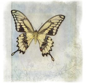 Debra Van Swearingen - Floating Butterfly V