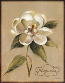 Silvia Vassileva - December Magnolia Vintage