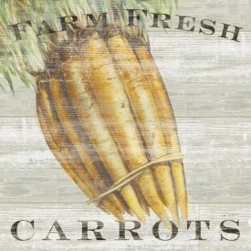 Sue Schlabach - Farm Fresh Carrots