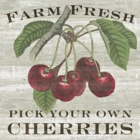 Sue Schlabach - Farm Fresh Cherries Square