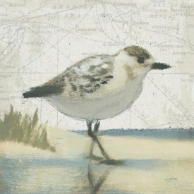James Wiens - Beach Bird I