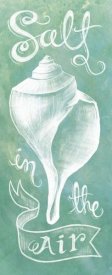Mary Urban - Seashell