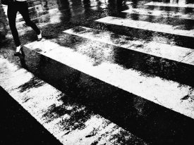 Tatsuo Suzuki - untitled