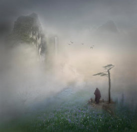 Shenshen Dou - Follow The River To Where It Starts