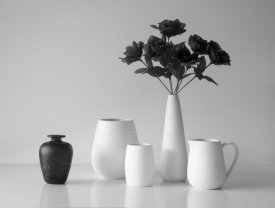 Jacqueline Hammer - Still Life In Black And White
