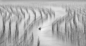 Angela Muliani Hartojo - Going Back