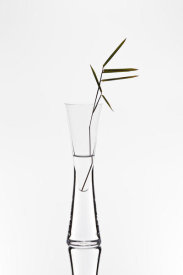 Christian Pabst - Bamboo