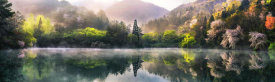 Tiger Seo - Morning Calm