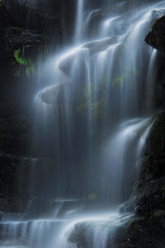 Yan Zhang - Sylvia Falls