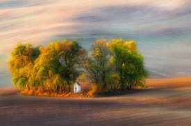 Piotr Krol (Bax) - The Autumn Chapel